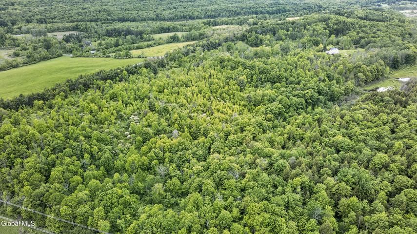 0 Joslyn School Road, Berne, NY, photo 4