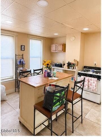 598 Pawling Avenue, Troy, NY, photo 3