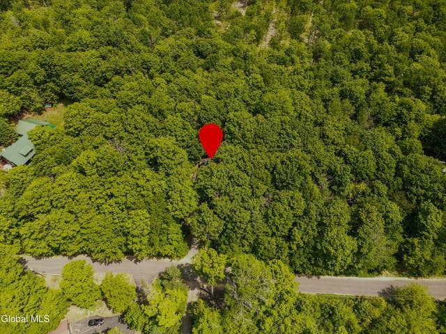 601 N Shore Peck Lake Road, Gloversville, NY, photo 2