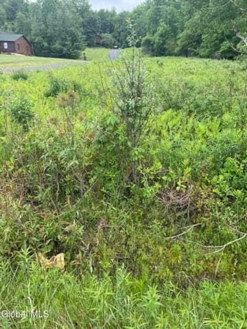2447 NY-28, Johnsburg, NY, photo 5