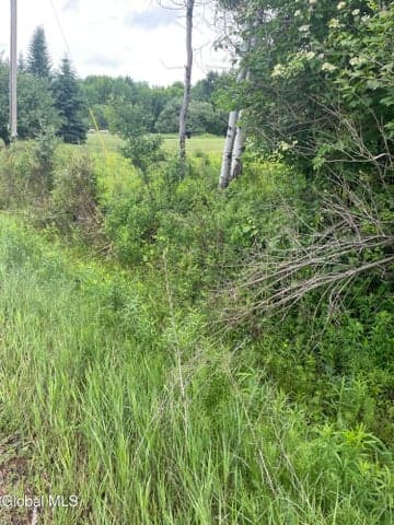 2447 NY-28, Johnsburg, NY, photo 4