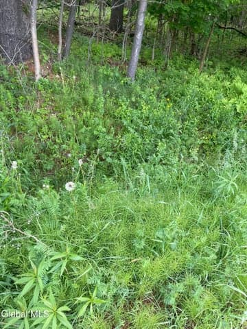 2447 NY-28, Johnsburg, NY, photo 3