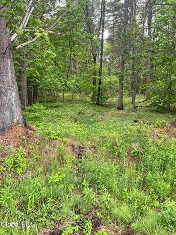 2447 NY-28, Johnsburg, NY, photo 1