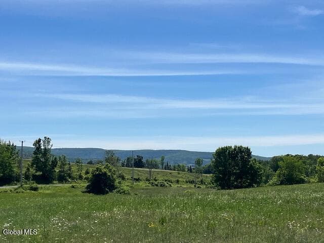 L16 Lawton Road, Cobleskill, NY, photo 4