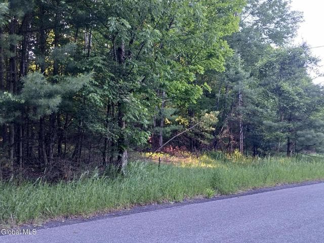 24 Tannery Lane, Hague, NY, photo 1