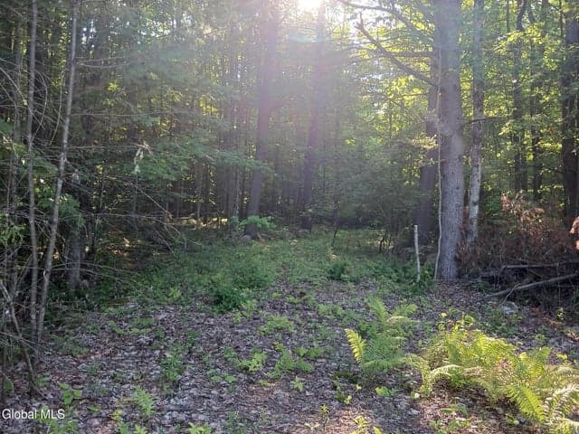 24 Tannery Lane, Hague, NY, photo 3