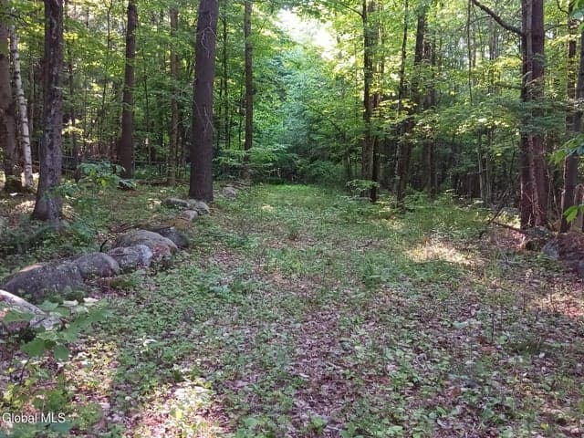 24 Tannery Lane, Hague, NY, photo 4