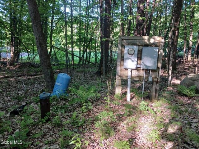 24 Tannery Lane, Hague, NY, photo 5