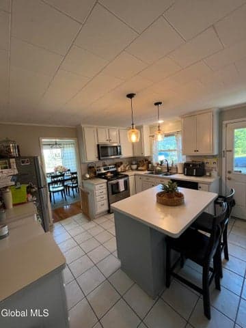 5 Summit Terrace, Ravena, NY, photo 2