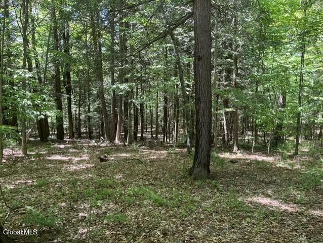 L7 Myers Road, Cobleskill, NY, photo 1