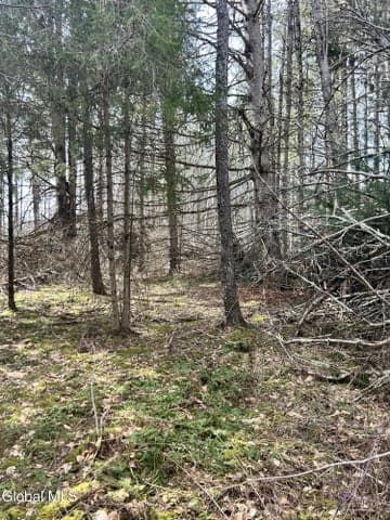 L6.34 Weaver Dam Road, Petersburgh, NY
