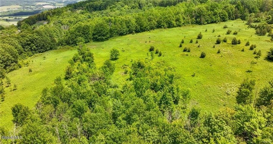 L16 Bush Street, Seward, NY, photo 2
