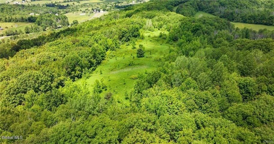 L16 Bush Street, Seward, NY, photo 3