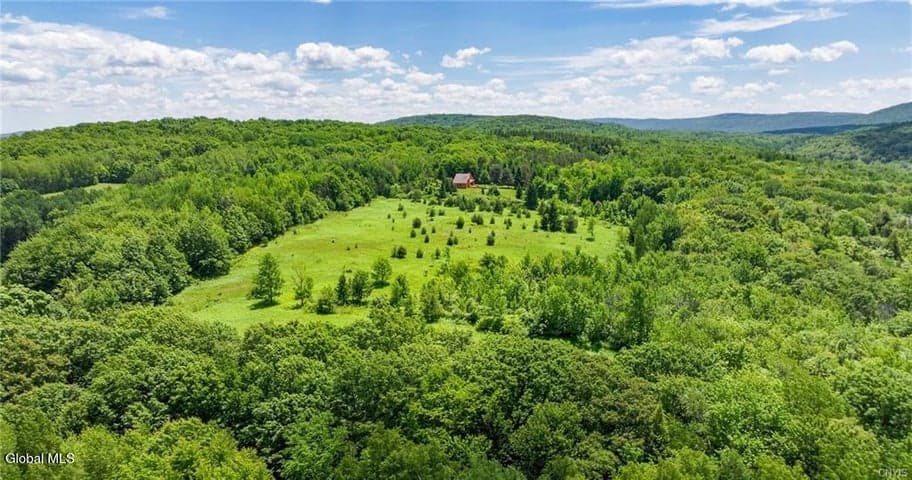 L16 Bush Street, Seward, NY, photo 5