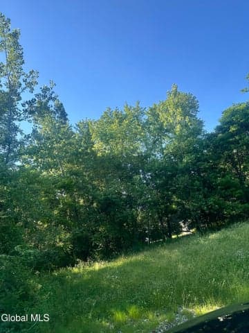 454 Bede Street, Niskayuna, NY, photo 4