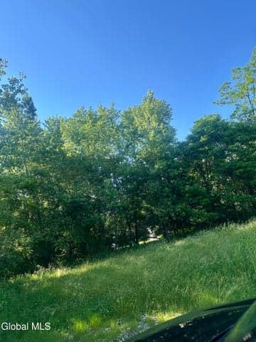 454 Bede Street, Niskayuna, NY, photo 5