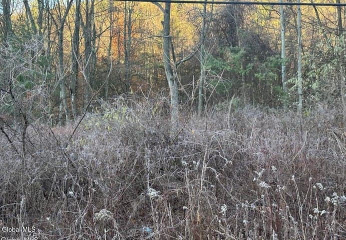 L8 Rr 9, Lake George, NY, photo 2