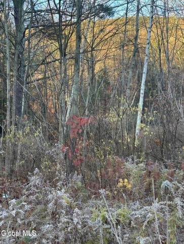 L8 Rr 9, Lake George, NY, photo 5