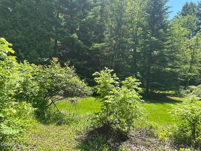 3053 Plank Road, Moriah, NY, photo 5