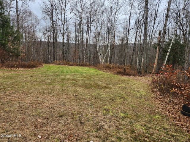 L7.02 Truax Road, Worcester, NY, photo 2
