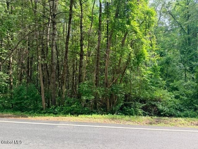 390 Glen Lake Road, Lake George, NY, photo 2