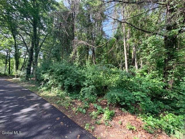 390 Glen Lake Road, Lake George, NY, photo 3