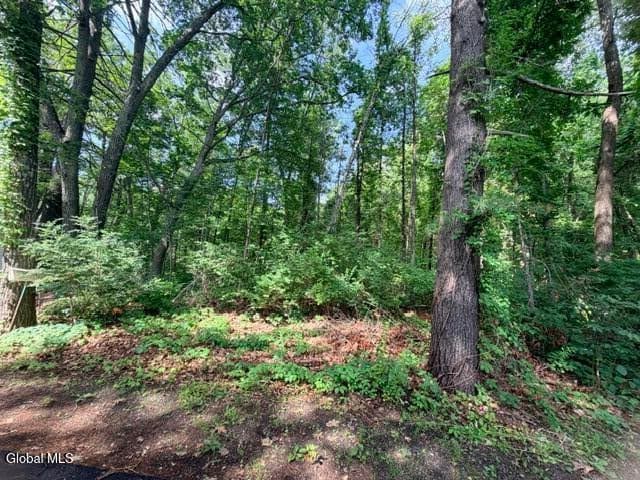390 Glen Lake Road, Lake George, NY, photo 4