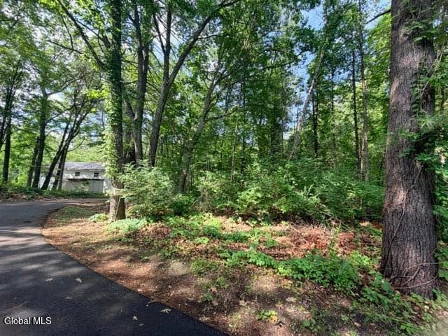 390 Glen Lake Road, Lake George, NY, photo 5