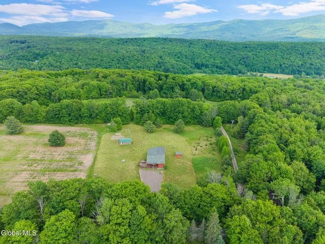 368 Brand Road, Gilboa, NY, photo 2
