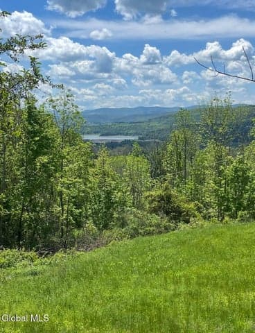 127 Grassy Road, Blenheim, NY, photo 2