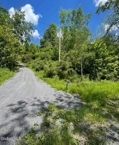 127 Grassy Road, Blenheim, NY, photo 4