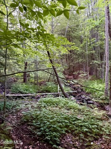 422 Old Peck Hill Road, Johnstown, NY, photo 4