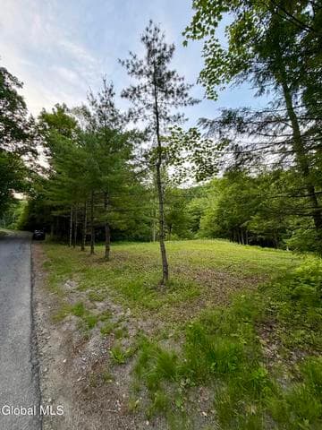 422 Old Peck Hill Road, Johnstown, NY, photo 5
