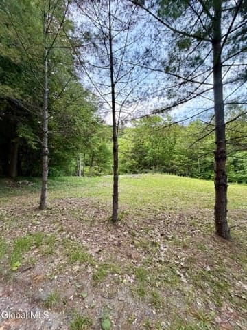 422 Old Peck Hill Road, Johnstown, NY, photo 3