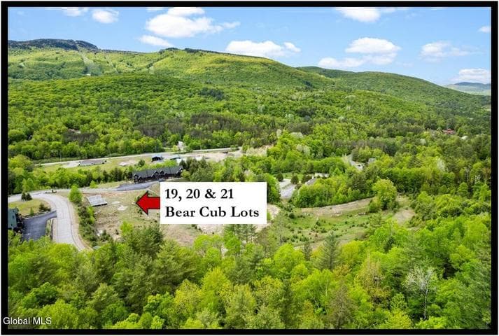 19, 20, 21 Bear Cub Drive, Johnsburg, NY