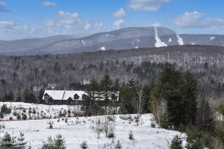 L1.111 Top Ridge Drive, Johnsburg, NY, photo 3