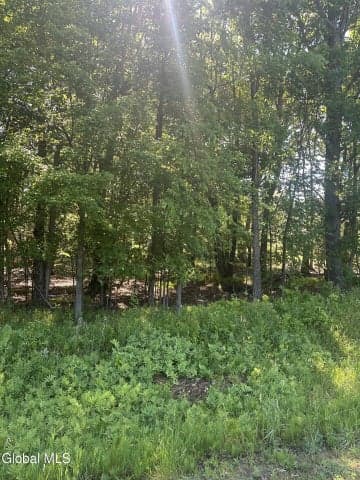 L7 Wilton Woods Court, Wilton, NY, photo 2