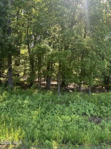 L7 Wilton Woods Court, Wilton, NY, photo 3