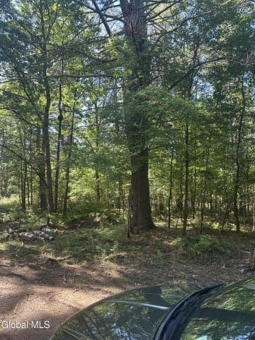 L7 Wilton Woods Court, Wilton, NY, photo 4