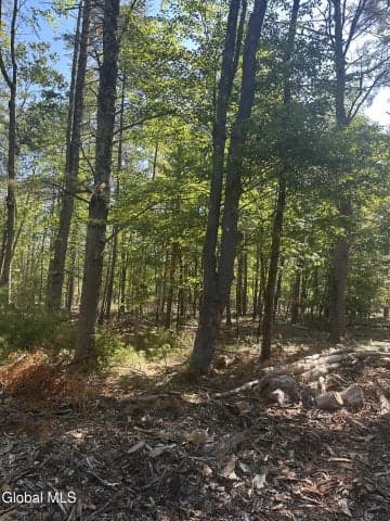 L7 Wilton Woods Court, Wilton, NY, photo 5