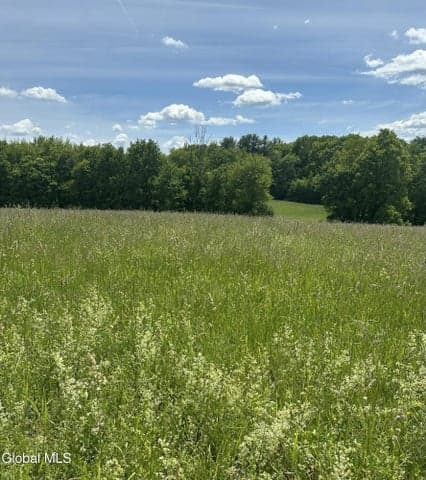 171 Orchard Road, Ghent, NY, photo 2