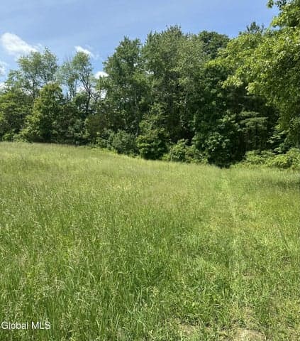 171 Orchard Road, Ghent, NY, photo 3