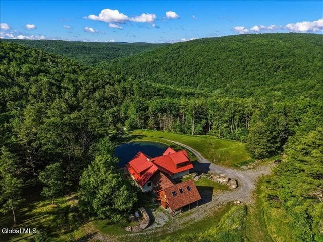 165 Vaughn Hill Road, Broome, NY, photo 3
