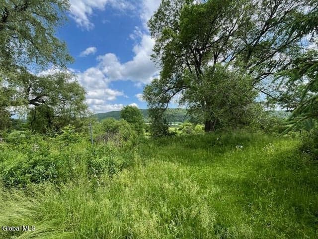 3798 NY-166, Cherry Valley, NY, photo 2