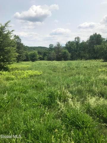 L8 Lower Cady Road, Chatham, NY, photo 3