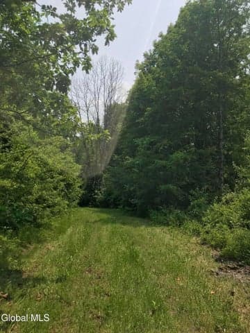 L8 Lower Cady Road, Chatham, NY, photo 2