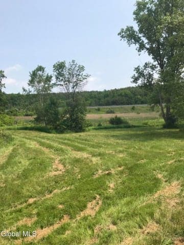L8 Lower Cady Road, Chatham, NY, photo 5