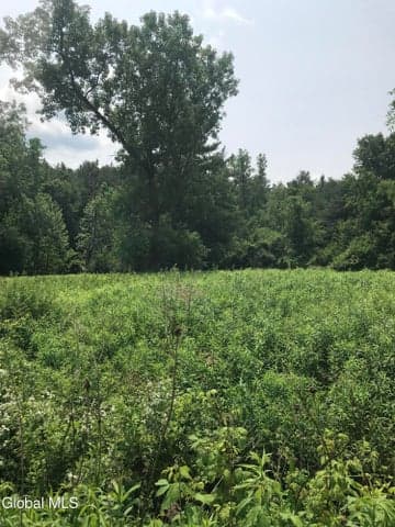 L8 Lower Cady Road, Chatham, NY, photo 4