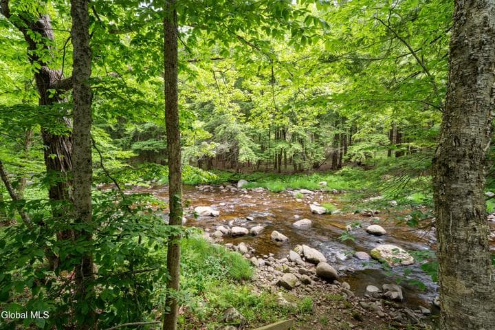 978 W Mountain Co Rt 10, Day, NY, photo 2