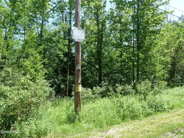 L6.114 Berry Lane, Hunter, NY, photo 1